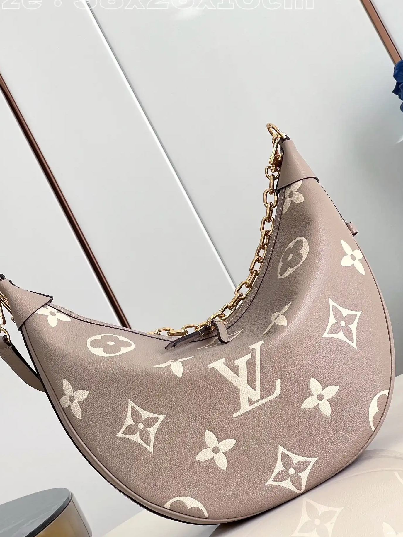 LOUIS LOOP VUITTON HOBO 0530